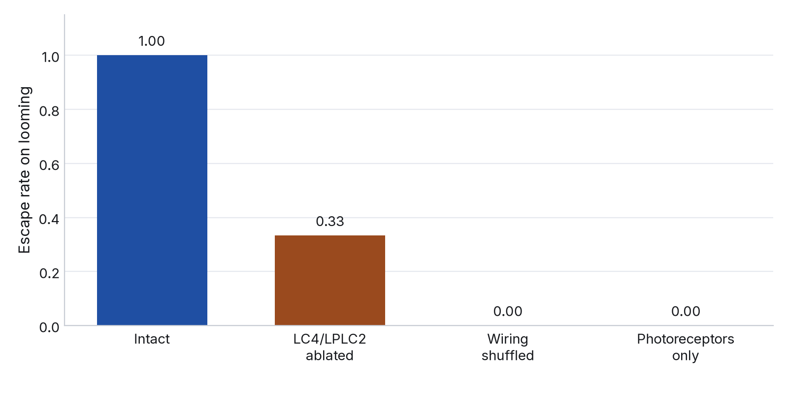 Bar chart of escape rate by condition on MaleCNS v1.0: intact wiring escapes every time (1.00); with LC4 and LPLC2 ablated it drops to 0.33; a degree-preserving shuffle and photoreceptor-only input never escape.